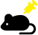 Whyblock1